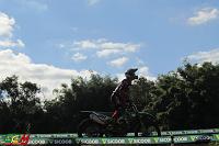 IMG_0733 